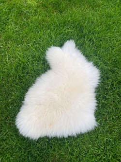 weiß