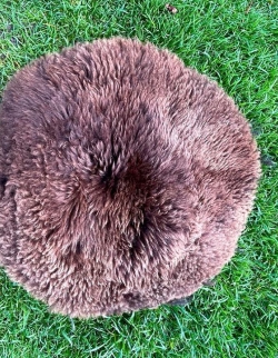 Natur Merino Lammfell Schaffell Fellstück Kreis