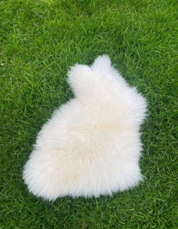 weiß