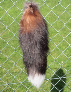 Natur Fuchsschwanz Tierschwanz Schlüsselanhänger braun